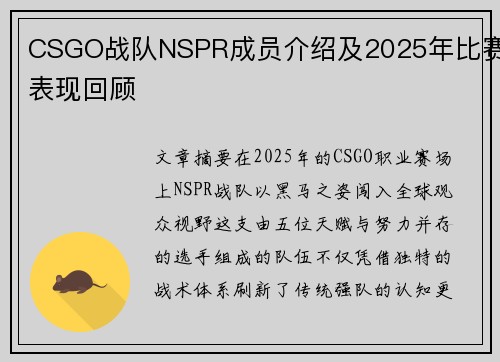 CSGO战队NSPR成员介绍及2025年比赛表现回顾