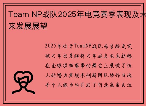 Team NP战队2025年电竞赛季表现及未来发展展望